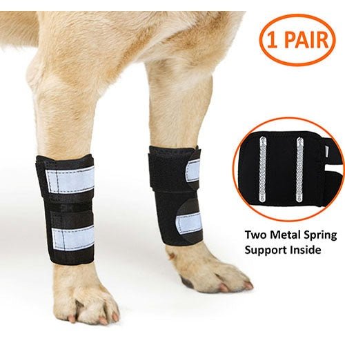 NeoAlly Dog Front Leg Brace with Reflective Straps - Metal Spring Inserts for Carpal Support (Pair)