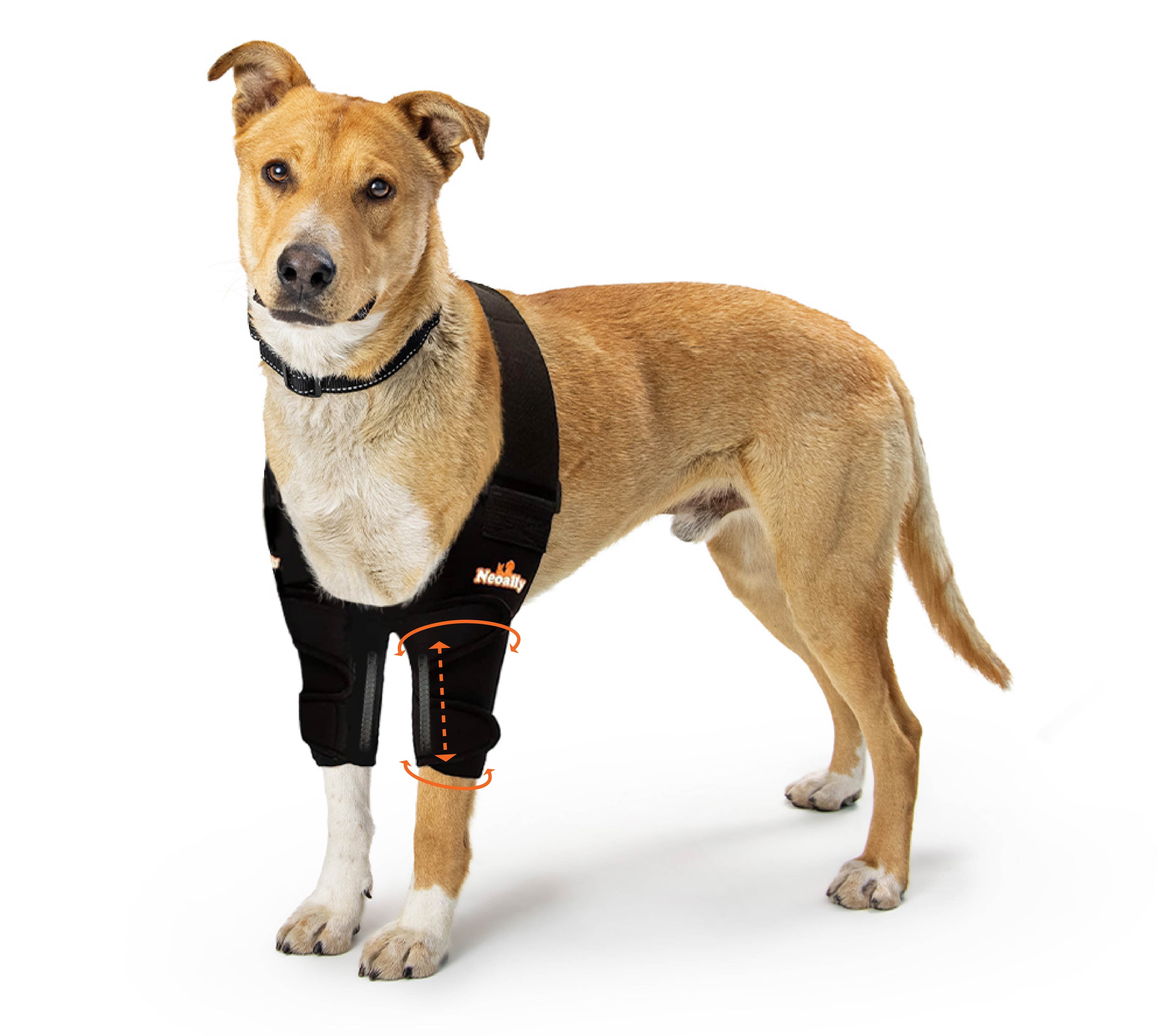 NeoAlly Elbow and Shoulder Brace with Spring Inserts for Dogs and Cats - Enhance Pet Mobility with Optimal Support